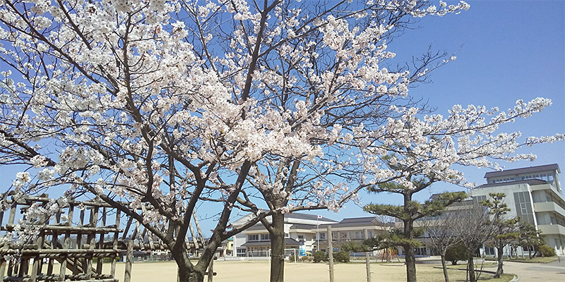 金石町小学校